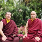 Karmapas issued a statement to jointly recognize Shamar Rinpoche’s reincarnation and take joint responsibility for his education, empowerments, transmissions, and pith instructions.